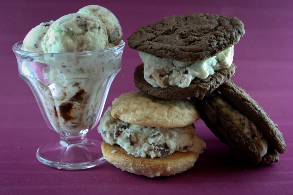 Ice Cream Sandies